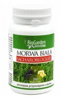Morwa Biała Sacharoblocker, 200 tabletek /BigGarden/