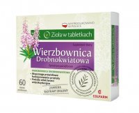 Wierzbownica Drobnokwiatowa, 60 tabletek /Colfarm/